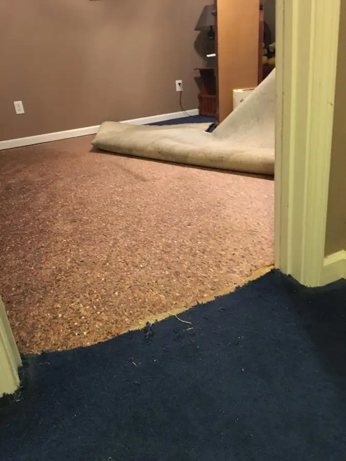 Carpet pad removal revealing water damage during Drying & Dehumidification in Contra Costa Centre